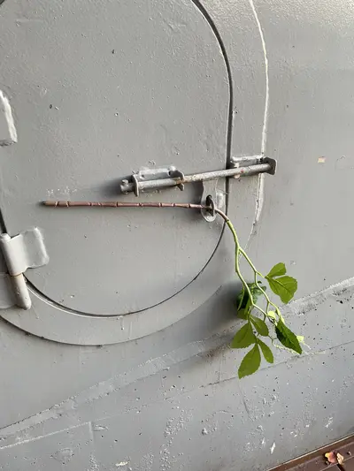 佛系的鎖